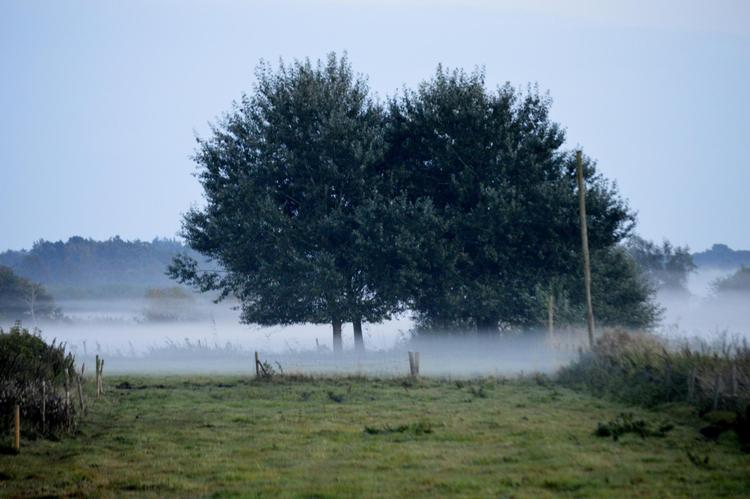 Tågen kom i løbet af få minutter. Den kom ikke drivende, ikke rullende, den faldt ikke ned fra himlen eller steg op af jorden, den kom bare i det øjeblik, temperaturen på det givne sted nåede det magiske dugpunkt og gjorde dampen synlig. 