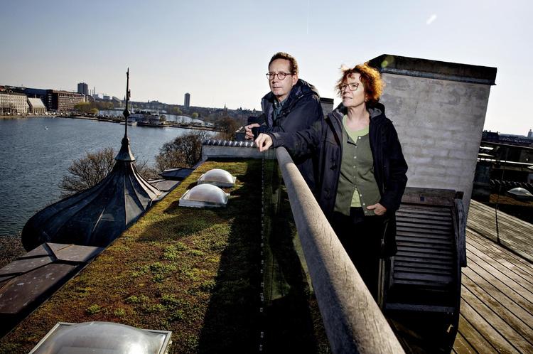 Kræsten og Lone Bischoff og deres naboer har valgt en klimavenlig, mosklædt tagterrasse. 