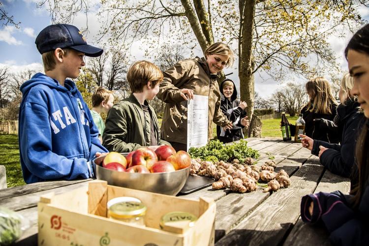 Skolehaver er blevet populære over hele landet. Her kommer eleverne ud i åben natur og lærer at lave mad med de grøntsager de dyrker.  