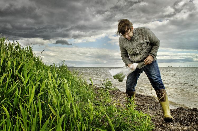 Kokkene på Noma høster selv en del af de urter, de bruger i restauranten, i den vilde natur. Her er René Redzepi på stranden ved Dragør for at samle strandurter. 