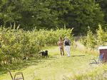 »Folk i den gastronomiske branche er nysgerrige på vores mjød, og de ved, at Rytzebækgaard står for en høj grad af kvalitet. Derfor møder de os med samme seriøsitet, som gør, at det også kun er de bedste gulerødder, der rammer deres køkkenborde«, siger Kirsten Rohde (i hvide bukser). 