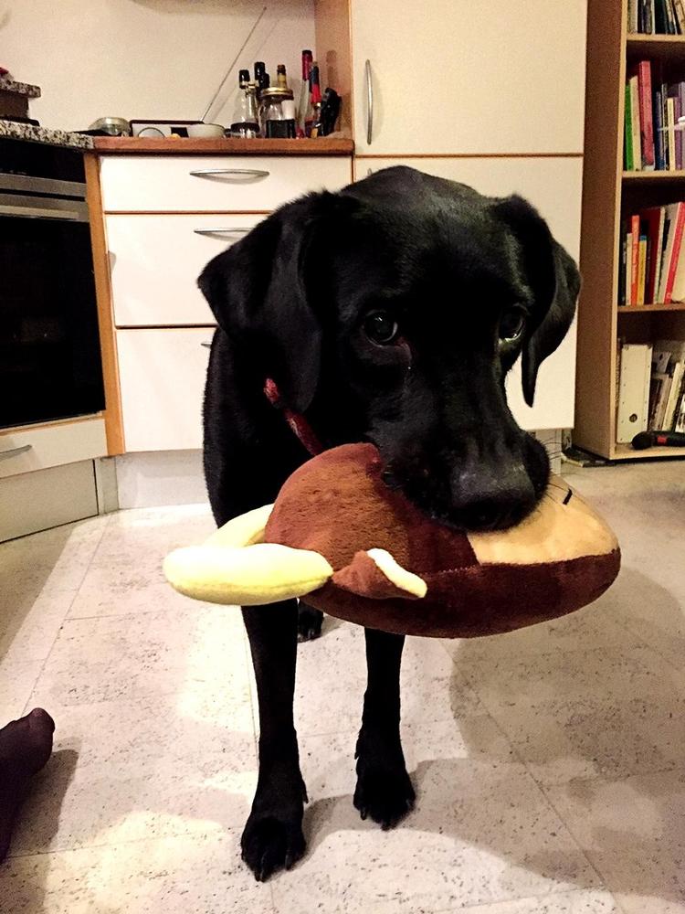 9-årige Dina var vild med både legetøjet og de godbidder, der var i Buddybox. Tøjdyret holdt dog ikke til mange minutters rysteri. 