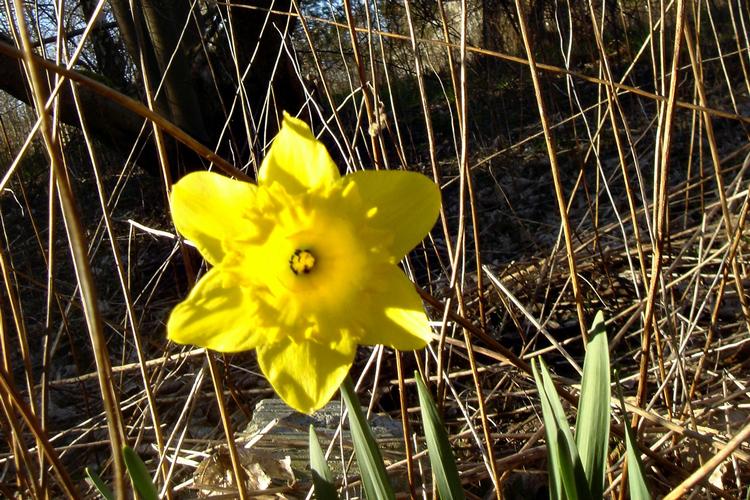 doc6ulhtlxuwdg1dlcdhnjr