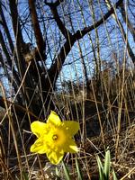 doc6ulhtlxuwdg1dlcdhnjr