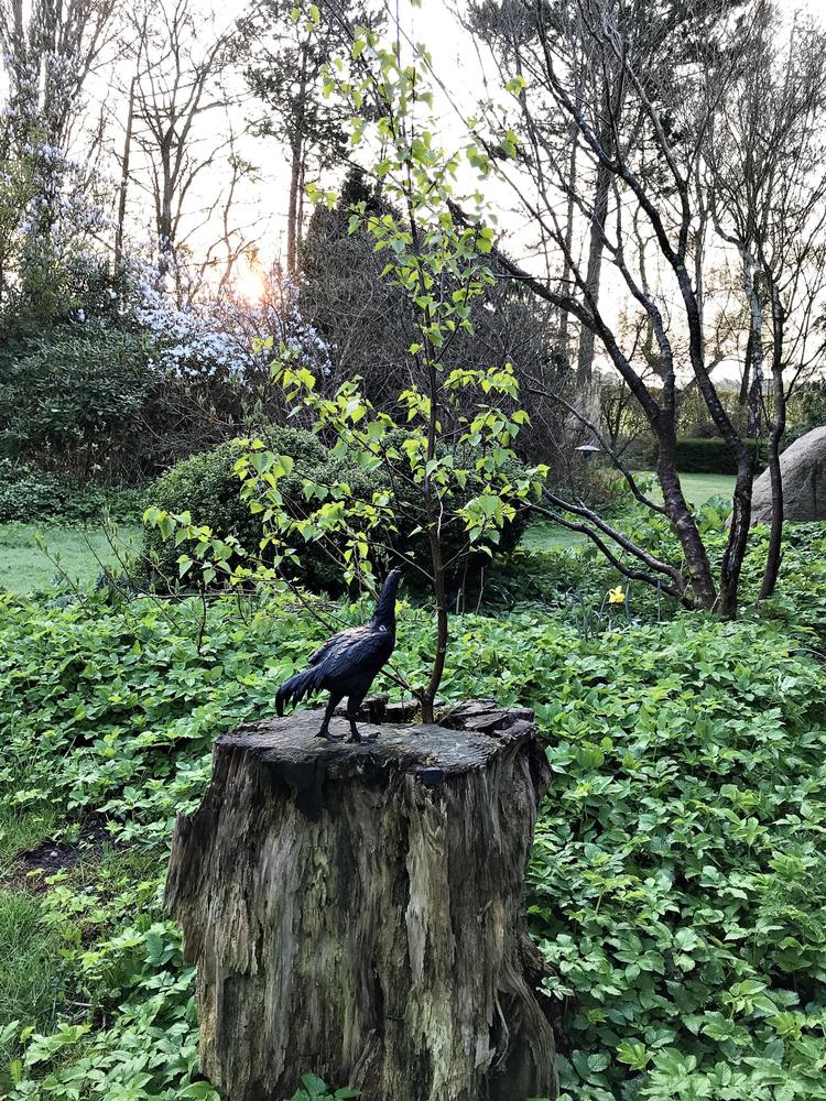 Privatfoto