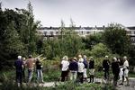 Otte år har det taget seniorbofællesskabet Den 3. Revle at nå til spadestikket på ydre Nørrebro. Her fra et indledende møde i 2014. Peter Klint