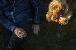Nillers cocker spaniel var måske verdens dårligst opdragede hund. Til gengæld havde Niller styr på børn. Enhver lighed med modelhunden her, vores nabos Balder, er helt utilsigtet. For den er både velafrettet og nyfriseret og har lige fået børstet tænder. 