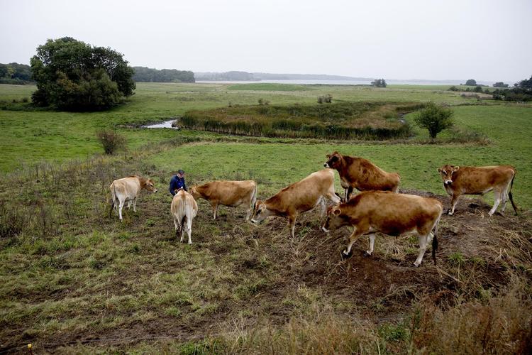 Kun få unge landmænd har råd til at købe en gård med besætning og maskiner, men nu er Økologisk Landsforening klar med et løsningsforslag. 