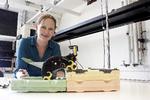 Kirstin Hagelskjær Petersens ph.d.-projekt kom i 2014 på forsiden af det videnskabelige tidsskrift Science. Den simple robot, som hun fremstillede en prototype af, kunne løse komplekse opgaver. 