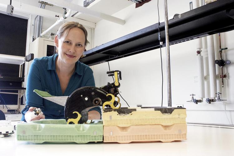 Kirstin Hagelskjær Petersens ph.d.-projekt kom i 2014 på forsiden af det videnskabelige tidsskrift Science. Den simple robot, som hun fremstillede en prototype af, kunne løse komplekse opgaver. 