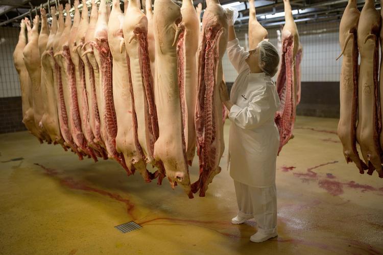 Som fødevareingeniør nørdes der med madens sammensætning på et detailniveau, som Michella Lund ikke arbejdede med, da hun var slagter. 