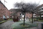 Beboerne i Mjølnerparken i København og boligselskabet Lejerbo har i 7 år planlagt en renovering, der blandt andet skal forbedre boligerne, ligesom der skal laves nye gårdmiljøer og stisystemer. Jens Dresling