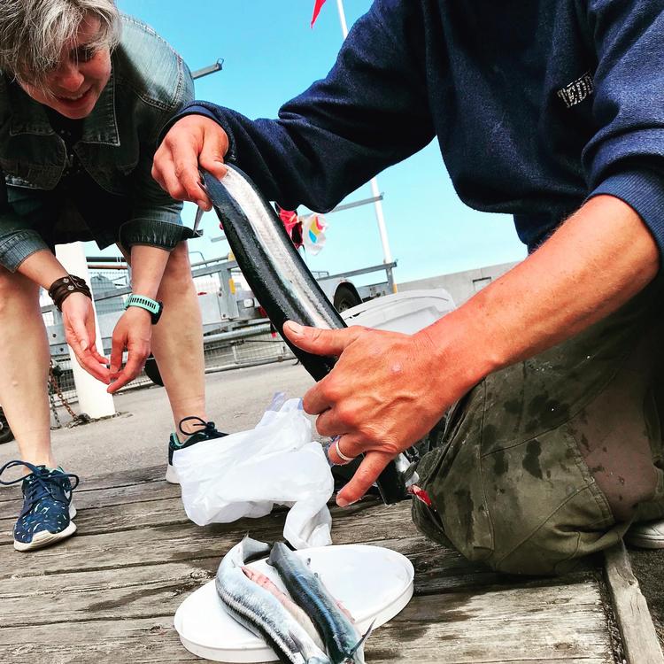 
HAVNEFEST. En sløj dag for ni hornfisk, men en stor begivenhed for Kajakkonen og Pølsekonen og de pligtskyldigt medfølgende ægtemænd. Foto: Per Munch
 Per Munch