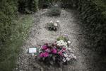 »Mor, jeg ønsker ikke at leve mere«, sagde 23-årige André 
Betteka-Østergård til sin mor. Han var frustreret over sit nye bosted, han tre gange havde raseret. Akutmodtagelsen udskrev ham efter få timer. Kort efter var han død.  Peter Hove Olesen