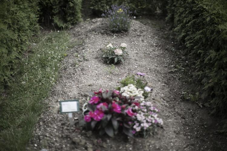 »Mor, jeg ønsker ikke at leve mere«, sagde 23-årige André 
Betteka-Østergård til sin mor. Han var frustreret over sit nye bosted, han tre gange havde raseret. Akutmodtagelsen udskrev ham efter få timer. Kort efter var han død.  Peter Hove Olesen