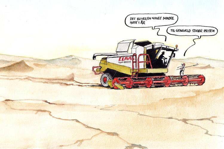 Tegning: Roald Als 