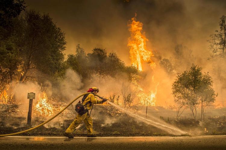 I Californien har hedebølgen forårsaget gunstige  forhold for usædvanlige voldsomme  naturbrande. Hector Amezcua/AP/Ritzau Scanpix