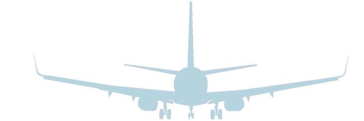 fly