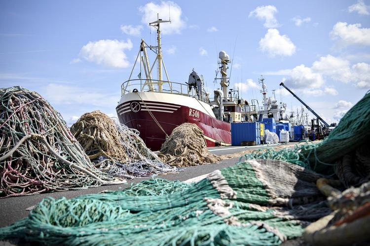 De såkaldte  kvotekongers forretning  løber op  i mange hundrede millioner kroner. Her er vi på havnen i Thyborøn. Arkivfoto Anita Graversen/Ritzau Scanpix