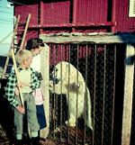 file71vjdaz4tbtnjjbxl26