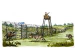 2018-06-08 dagens tegning