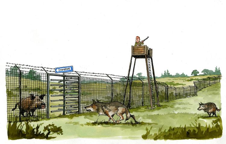 2018-06-08 dagens tegning
