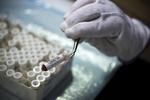For sølle 15 millioner besluttede Folketinget at sælge Statens Serum Institut. Hvorfor skal vi sælge vores vigtige infrastruktur? 