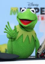 Photocall for_Muppets Most Wanted