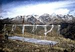 Et kunstprojekt fra Glænø er genopstået i Tibet, hvor plexi-glaskisten næsten kommer til at stå som symbol på den forgæves venten på en prins, der skal udfri det tibetanske folk fra dets hårde skæbne. 