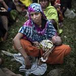 Siden efteråret er cirka 700.000 rohingyaer flygtet fra Myanmar til nabolandet Bangladesh.  Jacob Ehrbahn/POLFOTO