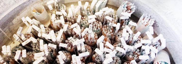 Kvindens nedfrosne æg skal destrueres efter 5 år, eller når kvinden bliver 46 år. Men mænds nedfrosne sæd – der her ses i fryseren hos sædbanken Cryos – har ingen udløbsdato. Det er ikke fair, mener analysens forfattere.   Arkivfoto: Thomas Fredberg