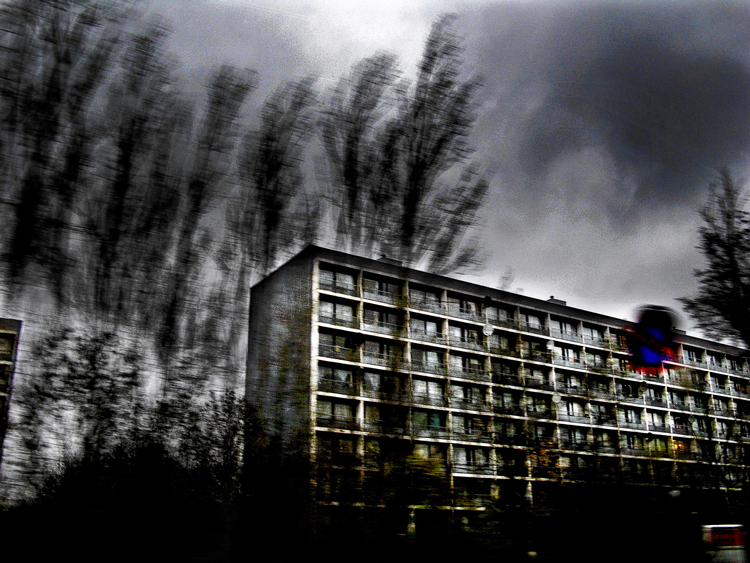 Foto: Carsten Ingemann 