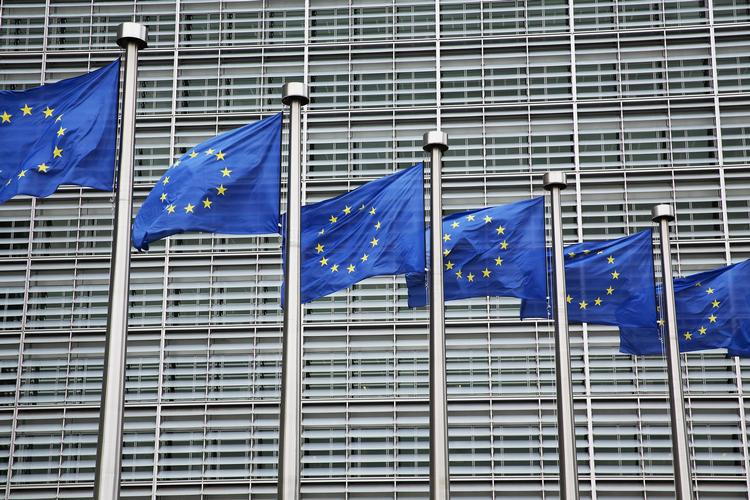 Fællesskab. Der er ingen vej uden om samarbejde i Europa. Men EU er ikke  løsningen, mener kronikøren, der opfordrer til nytænkning. Thomas Borberg/POLFOTO