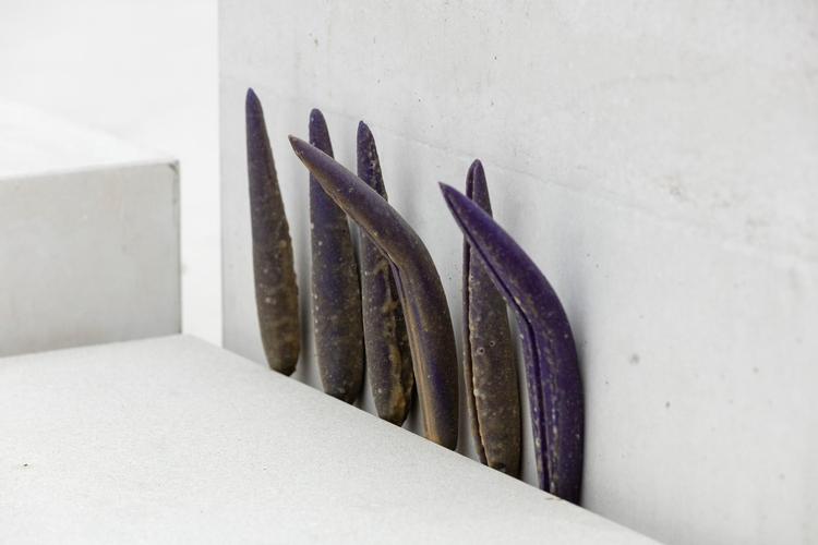 Lea Porsager har placeret 137 lilla tungelignende skulpturelementer i sprækkerne Museum for Kunst i den Offentlieg Rum – som en kælende, men nærmest aggressiv erotisk gestus  