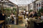 På Cofocos Väkst kan man nyde en tre retters menu til 325 kroner i drivhusomgivelser.  