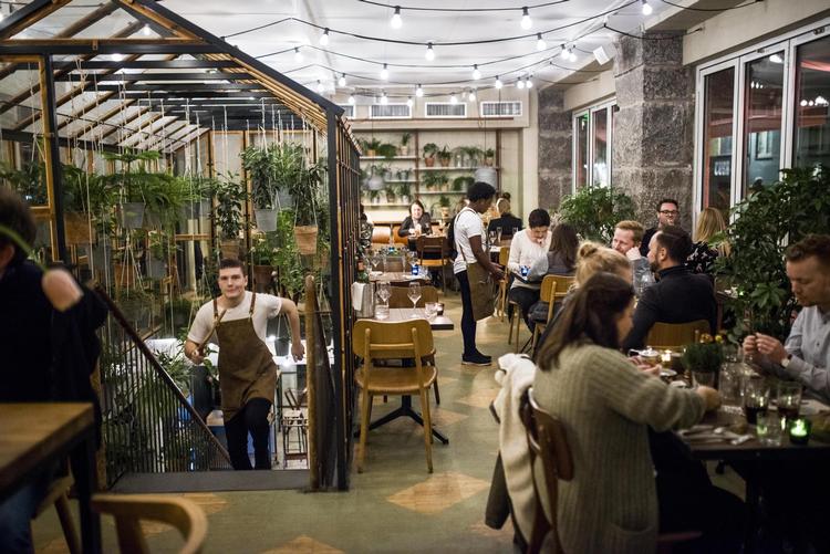 På Cofocos Väkst kan man nyde en tre retters menu til 325 kroner i drivhusomgivelser.  