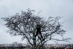 Halfdan Pisket er delvist vokset op på Christiania, hvor hans far boede. Han har blandede minder derfra, men ville altid vise stedet til gæster fra udlandet. 