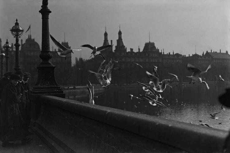 Her ses mennesker og måger ved Dronning Louises Bro på et gammelt foto, der kunne være taget i går.  Arkivfoto: Holger Damgaard