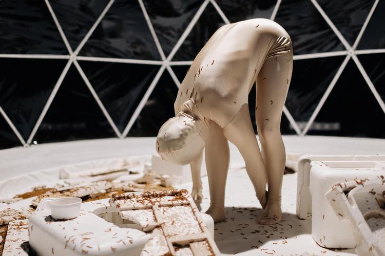 En dansende kvinde og 200.000 melorme begiver sig til at nedbryde to flamingokasser.  Pr-foto: Bem Welland