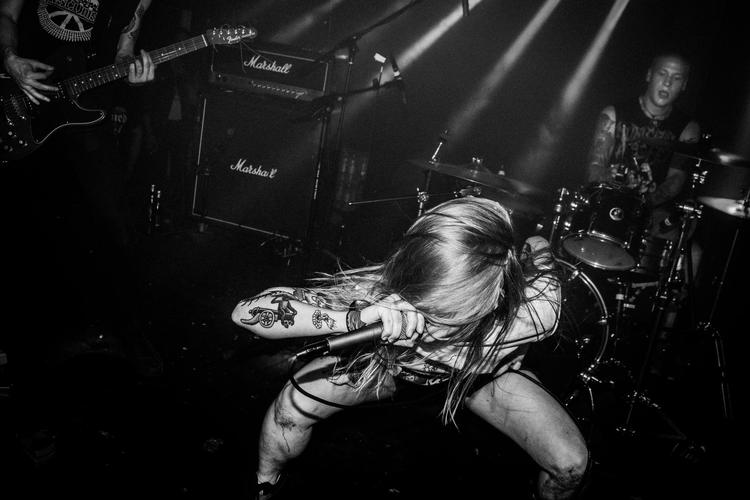 Alle fotografier i artiklen Alexander Sjöberg