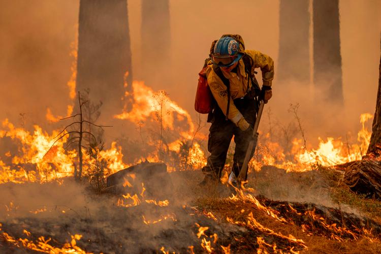 Foto: David Mcnew/Ritzau Scanpix