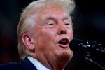 Når Kamala Harris kalder Donald Trump for 'weird' – som betyder mærkelig – har det karakter af en observation, men i virkeligheden er der tale om en fornærmelse. Foto: Joe Raedle/Ritzau Scanpix