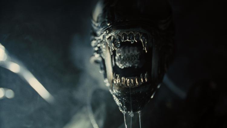 I den originale 'Alien'-film fra 1979 gik der mere end en time, før man så et glimt af rumvæsnet. I den nye film bliver den kastet i hovedet på os uden skyggen af mystik. Og så er den ikke så skræmmende.  Foto: Disney