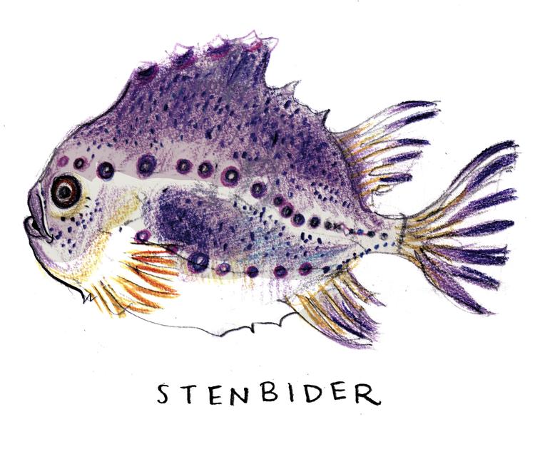 Tegning Claus Nørregaard