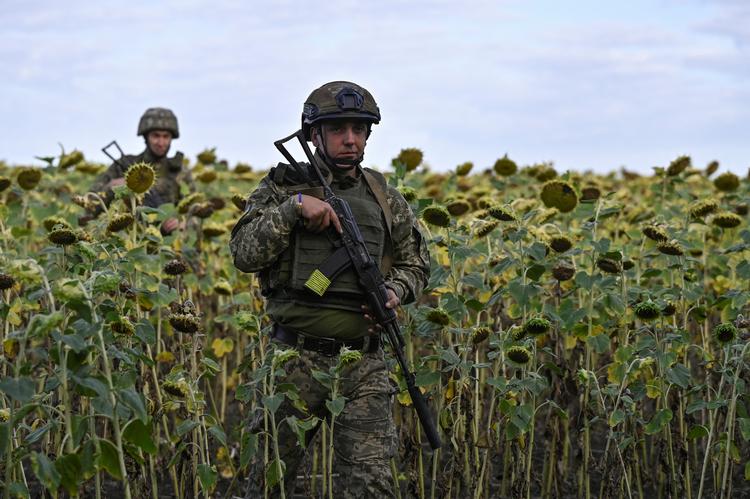 Ukrainske soldater går gennem en solsikkermark nær Pokrovsk, en af de byer i Østukraine, der er under pres fra den russiske fremrykning. Foto: Stringer/Ritzau Scanpix
