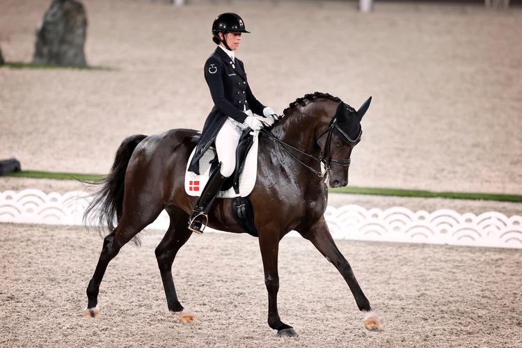 Carina Cassøe Krüth, der her ses på hesten Heline's Danciera under OL i Tokyo i 2021, måtte melde afbud til OL i Paris, efter at det kom frem, at hun to gange havde pisket sin hest under en træning. Hun har efterfølgende beklaget. Foto: Jens Dresling