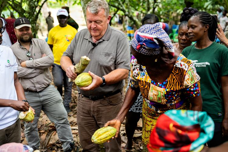 Udenrigsminister Lars Løkke Rasmussen (M) besøgte en kakaoplantage som forberedelse til sin Afrika-strategi. 
 Foto: Finn Frandsen