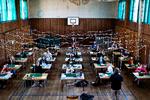 Foto: Niels Hougaard