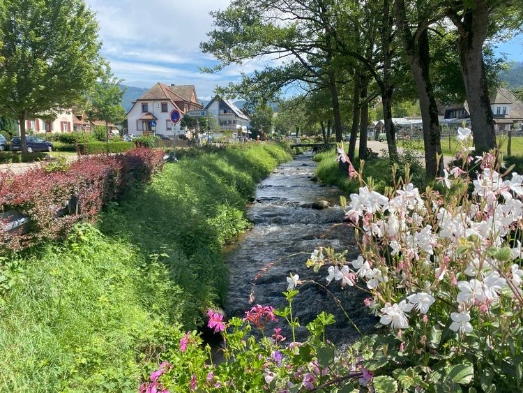 Glottertal er en kulinarisk kilometer, hvor bredmundede, brune bjælkehytter serverer lokale delikatesser på stribe. Hos stemningsfulde Vesperstube Dilgerhof kan man nyde et økologisk bondebræt med udsigt over hele dalen.  Foto: Marita Hoydal 