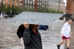 Juli blev den vådeste måned med 114,2 millimeter regn. Foto: Finn Frandsen